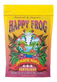 Happy Frog Japanese Maple